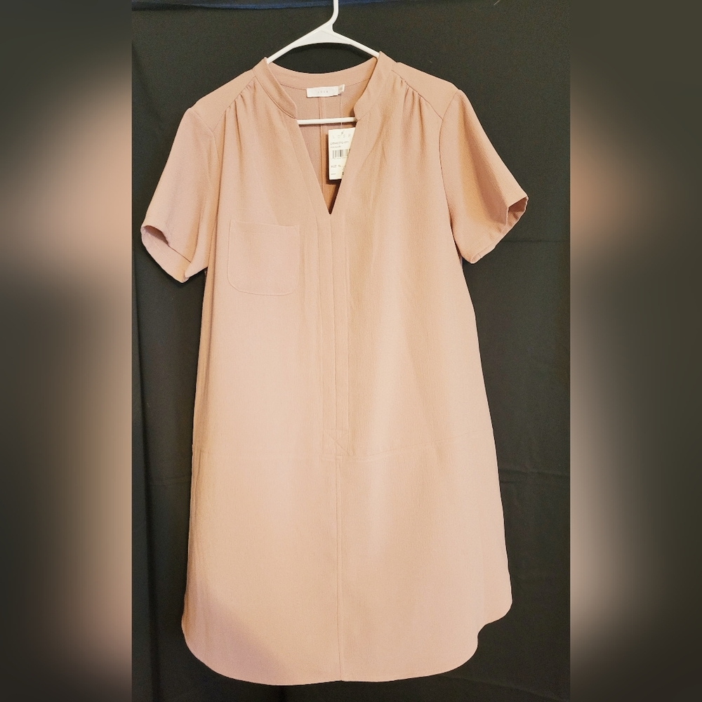 Cool Shift Dress